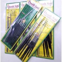 combo móc và Bộ lấy ráy tai chuyên nghiệp cao cấp Thanh sơn