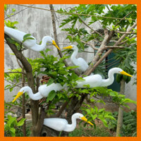 combo năm cò trắng xốp cứng,cò ngàng xốp cứng