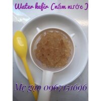 combo nấm nước kefir (nấm nước )