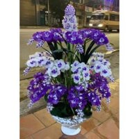 Combo nguyên liệu chậu hoa lan pha lê 3 tầng 25 cành x 6 bông