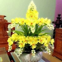 Combo nguyên liệu làm hoa đá k gồm bình