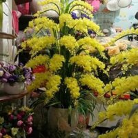 Combo nguyên liệu làm hoa đá