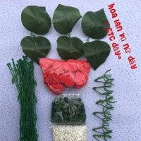 Combo nguyên liệu lan vũ nữ treo