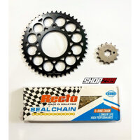 Combo Nhông Sên Dĩa Recto Cho Yamaha Exciter 155 (Sên Recto 428 Vàng, Có Phốt)