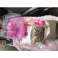 combo nuôi hamster cơ bản [ không kèm chuột hámter] cho người mới