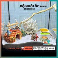 Combo nuôi ốc mượn hồn đầy đủ phụ kiện ( không kèm đèn ) B880-1