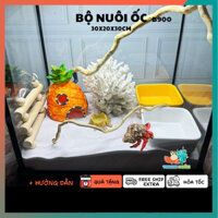 Combo nuôi ốc mượn hồn đầy đủ phụ kiện ( không kèm đèn ) B900
