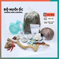 combo nuôi ốc mượn hồn ( không kèm chuồng nuôi )