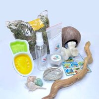 Combo nuôi ốc mượn hồn nhỏ bát cà rốt ( không kèm chuồng nuôi )