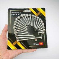 Combo Ốc lốc máy SIRIUS FI RC 2016 (22 ỐC) salaya 6li trụ bông inox 304 ép vỉ sẳn size ốc theo từng dòng xe lắp như zin