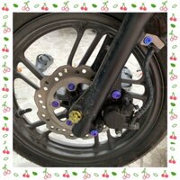 COMBO ỐC TITAN GR5 DÀN CHÂN TRƯỚC VARIO ĐỜI MỚI GỒM ĐĨA, PAS HEO, KẸP DÂY DẦU