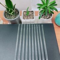 Combo  Ống Hút Thủy Tinh Cao Cấp Schott Đức - Combo 10 Ống Thẳng 200mm