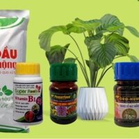 Combo phân bón chăm sóc hoa kiểng sau khi hoa tàn (Bánh dầu,Super root vitamin B1, ORG-HUM, Power Feed)