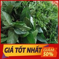 COMBO Rau SẠCH ăn kèm Nem Thính/ Nem Chua/ Nem Chạo - Hàng có sẵn