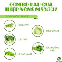 [Combo] Rau Sạch Hiệp Nông Gồm 5 Loại: Rau muống baby Cải thìa Su su Đà Lạt Bí đao xanh Đậu cô ve MS3002- [ Giao Ngay Tại TPHCM ] LazadaMall