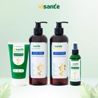 Combo Scalp Scrub, Shampoo, Conditioner, and Hair Treatment for Oily Scalp and Dandruff