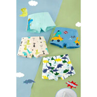 Combo sỉ 10 quần sịp đùi bé trai cotton cao cấp MS5914
