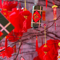 COMBO SỈ 100 DÂY TREO TRANG TRÍ DECOR TẾT, DẢI LIỄNG THẺ TAG TREO CÂY ĐÀO MAI QUẤT, KHÁNH LIỄN 2025.