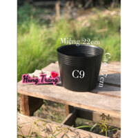 Combo sỉ 200c-500c chậu nhựa ươm cây c9 (miệng21cmx17cm)