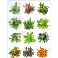 Combo sỉ 9 cây lá các loại - Cây giả