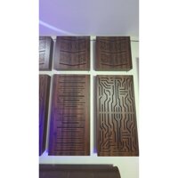 Combo Tấm Tiêu Tán Âm Pro 1