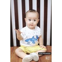 combo thịt kho tàu