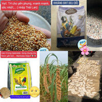 Combo thức ăn cho chim yến phụng, 7 màu,...