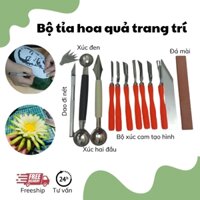 combo tỉa hoa quả trang trí món ăn