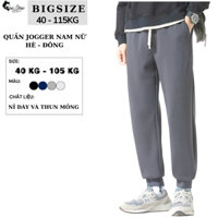 [Combo Tiết Kiệm] Áo Hoodie Tanktop + Quần Jogger Bo Thun NỈ Bông Nam Nữ BIGSIZE 40-100Kg