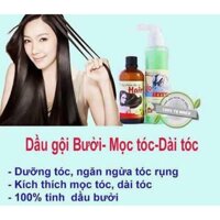 COMBO TINH DẦU BƯỞI VÀ DẦU GỘI BƯỞI