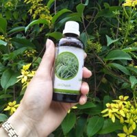 Combo tinh dầu sả chanh + đèn xông ( đẩy lùi dịch sốt xuất huyết)