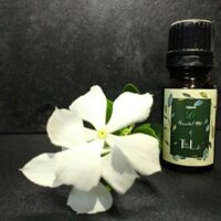 Combo tinh dầu tràm + Đèn xông