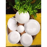 Combo tô chén dĩa trắng trơn 🌿🌿