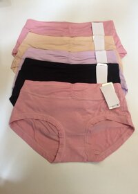 Combo trộn 5 màu khác nhau Quần lót cotton co giãn 4 chiều Thái Lan 3044