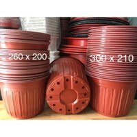 Combo từ 20-50 Chậu Nhựa Vành Cứng Trồng cây, Ươm Cây, Gieo Hạt - Theo size từ lớn đến nhỏ (4 Size: 26-28-30-35)
