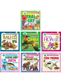 Combo Từ Điển Hình Ảnh Cho Bé 1 (Bộ 7 Cuốn)