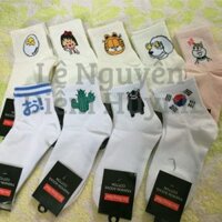 Combo vớ sỉ 20 đôi vớ hình cổ cao Ngọc Tuyền