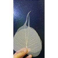 COMBO XƯƠNG LÁ SIÊU NHỎ 4-8cm-ốp lưng điện thoại