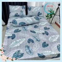 Combo1 ga +2 áo gối nằm m6x2m/m8x2m nệm dưới 20cm