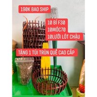 combo10 chậu f30  - 10 móc 70 cm - 10 lươi + 1 túi trùn