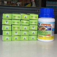 Combo 10,20,30,50 hộp phấn diệt kiến (hộp x 2 viên) + 1 chai Thuốc diệt muỗi, côn trùng CYP USA 200EC chai 100ml