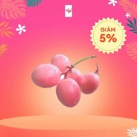 combo2 siro lỡ. cây xanh khoẻ. mau cho trái. dễ trồng, cây đến nơi an toàn