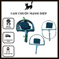 Combo50chiếc bẫy chuột bán nguyệt đại mồi xốp siêu bền, đẹp,chất lượng, chắc chắn,giá tại xưởng kèm mồi thay thế