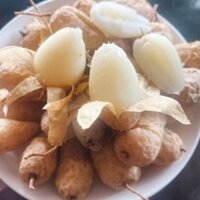 compo 3Kg CỦ LÙN Miền Tây SIZE TO bùi ngọt bột