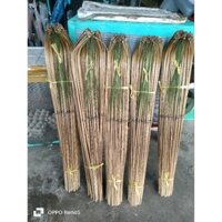 COMPO 50 BỘ CẦN CÂU CẮM CÁ LÓC,CÁ TRÊ(TRE GIÀ)