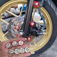 compo ốc Bắt pass heo, giữ pass dây dầu,ốc đĩa thắng trước INOX 304 TẶNG LÔNG ĐỀN ỐC PASS HEO