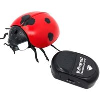 Con bọ cánh cam điều khiển siêu đẹp