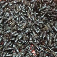 Con bổ củi khô (Hàng khô, không ẩm, không gãy đầu, thơm)