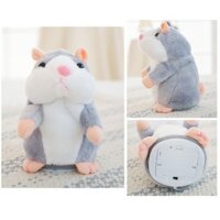 Con chuột hamster biết nói theo tiếng người