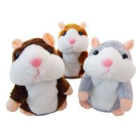 Con chuột hamster biết nói theo tiêng người